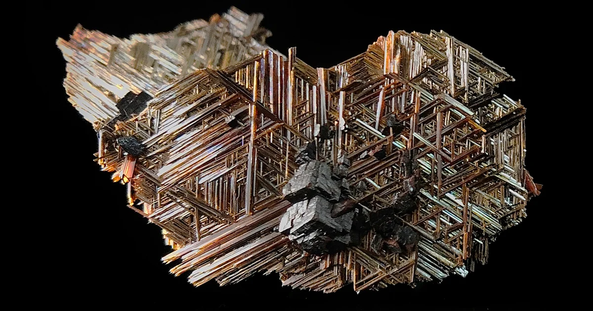Log Cover
