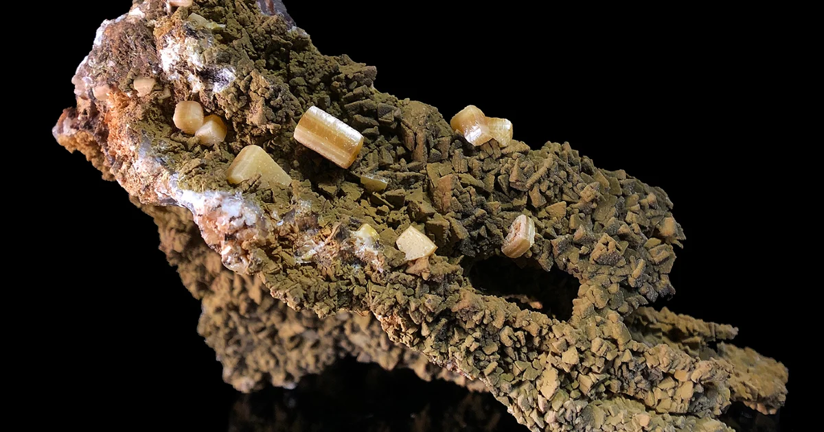 Log Cover