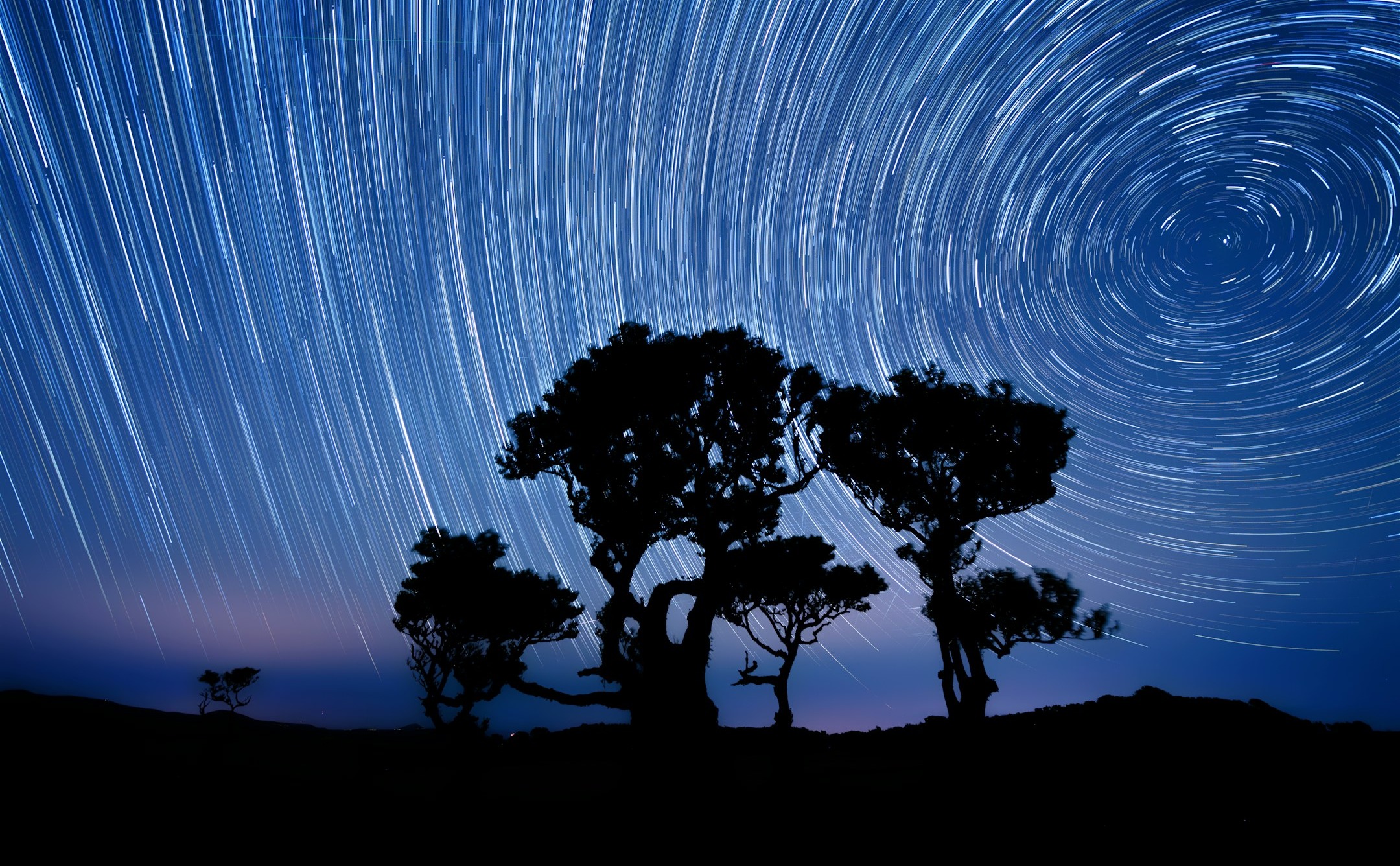 性格并非决定命运